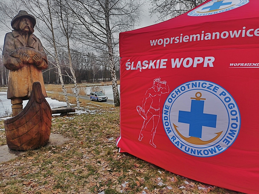 Hokej pod wodą Walenie 2011-2025